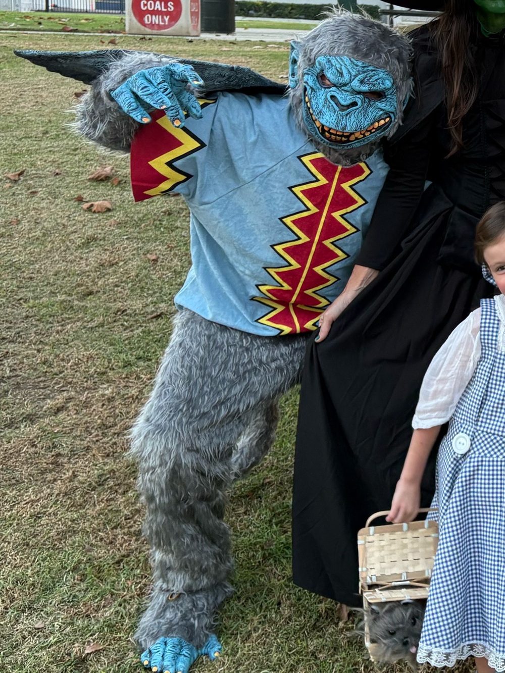 wizard of Oz flying monkey costume